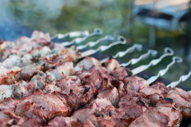 Doğa üzerinde pişirme et mangal