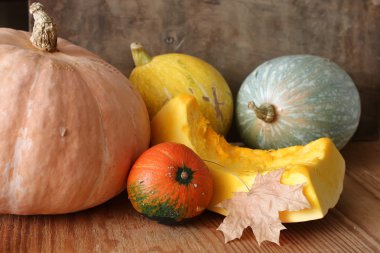 Kabak hasat masanın üstüne kesmek.