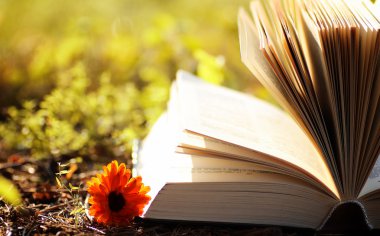 Sarı sonbahar açık kitap