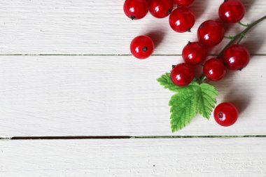 Frenk üzümü berry arka plan