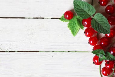 Frenk üzümü berry arka plan