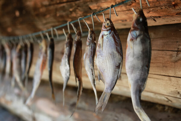fish drying on rope