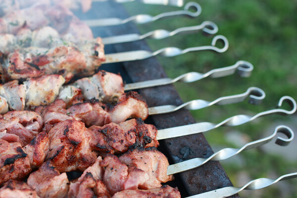 cooking barbecue on nature