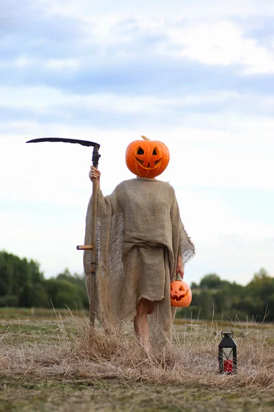 korkuluk Kabak kafa bir alanda
