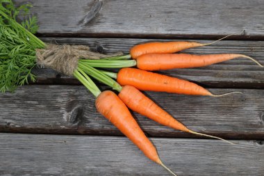 havuç tie ışını taze ürün