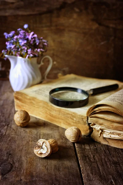 Förstoringsglas och gammal bok — Stockfoto