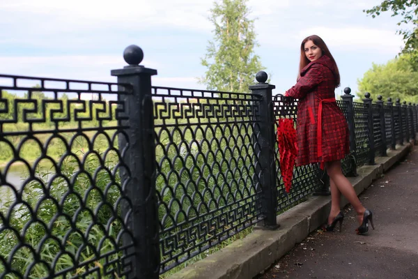 Donna con ombrello rosso su albero di strada — Foto Stock