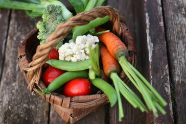 sebze sepeti harvest yılında