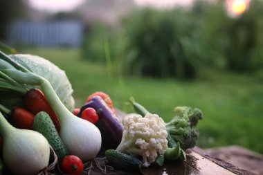 taze sebze hasat doğa açık