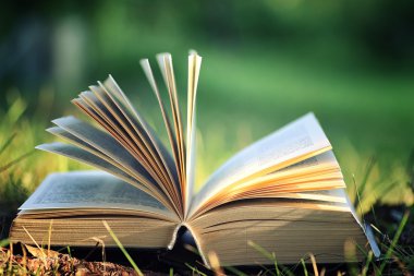 Çimenlerin üzerinde çiçek ile açık kitap