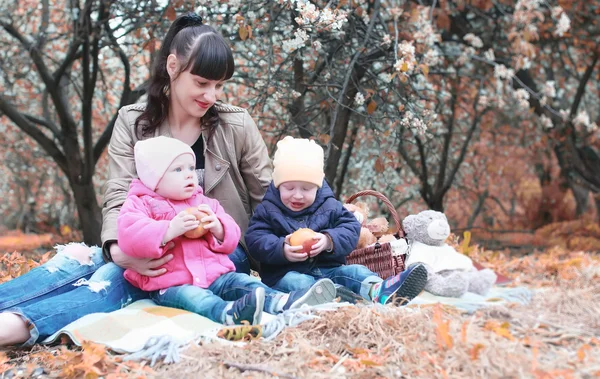 Осінній парк мама з близнюками на плоскому відкритому повітрі в яблучному саду — стокове фото