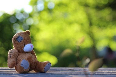 oyuncak ayıcık tablo açık