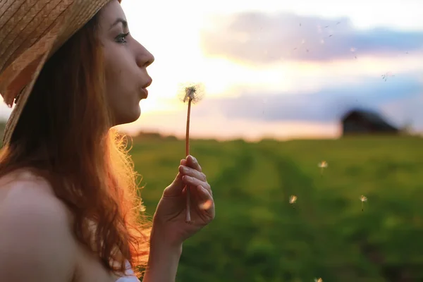 Ragazza al tramonto campo colpo dente di leone — Foto Stock