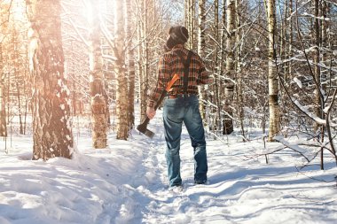 Huş ağacı kış orman adam balta ile