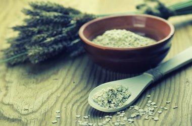 spikelets buğday ve arpa tabak