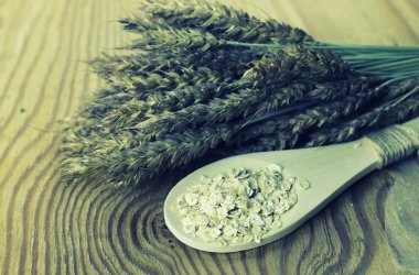 spikelets buğday ve arpa tabak