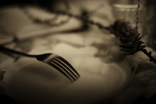 Toned fork in plate monochrome — Stock Photo, Image