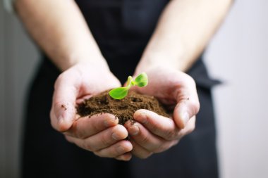 Avuçlarda filizlenen bahçıvan eli.