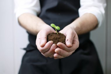 adam el avuç içi Filiz tutarak