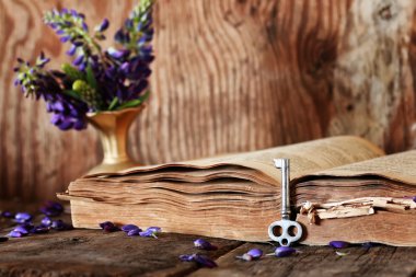 ahşap masa anahtar Retro kitap