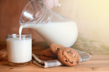 Sütlü Çikolata Bisküvi tahıllar