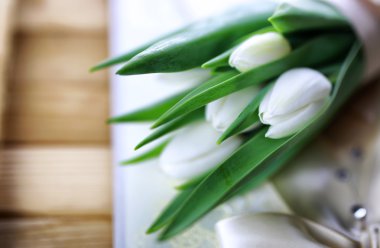 Beyaz Lale dantel kitap