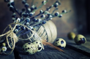 yumurta dal willow ahşap arka plan