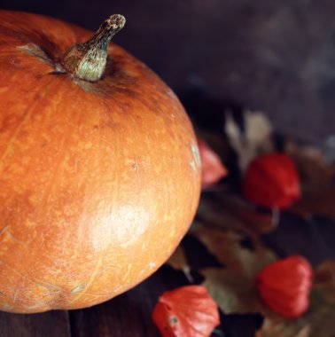 Şükran günü gün kabak ve mumlar