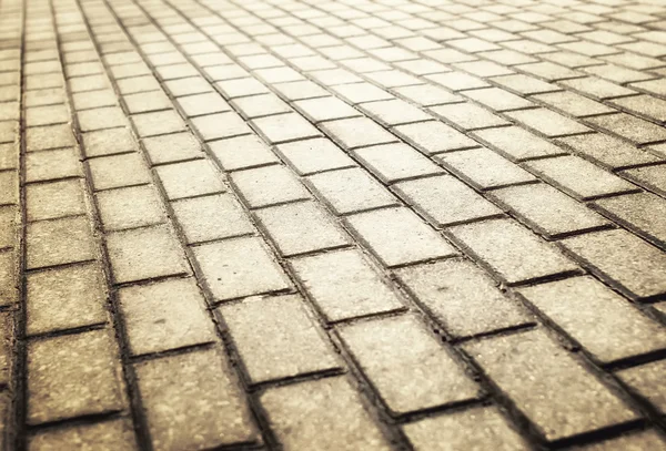 Sunlight on paved cobblestone pavement — Stock Photo, Image