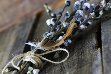 dal willow ahşap arka plan