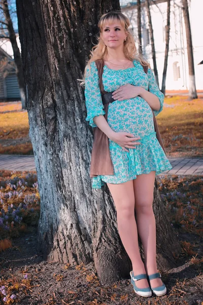 Φθινόπωρο έγκυος γυναίκα σε εξωτερικούς χώρους — Φωτογραφία Αρχείου