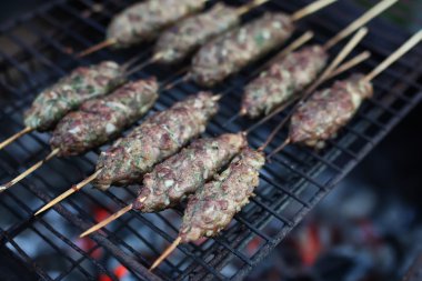 bir şiş kebap