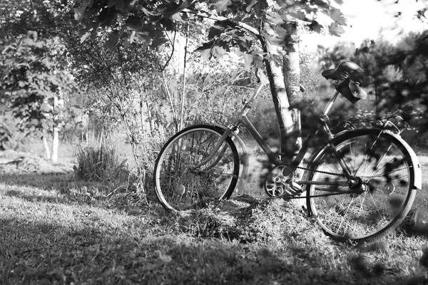 Vélo photo monochrome sur une nature rurale — Photo