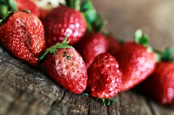 Rotten strawberries concept gmo — Stock Photo, Image