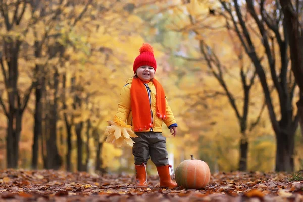 Niño en el parque de otoño con calabaza —  Fotos de Stock