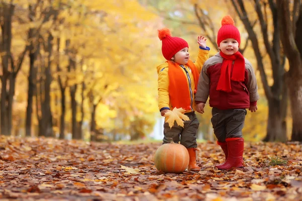 Enfants dans le parc d'automne avec citrouille — Photo