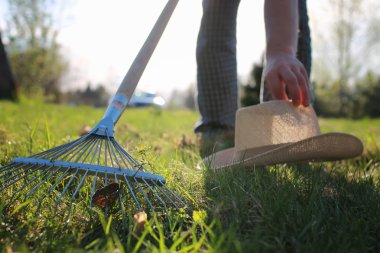 eski ot toplamak için Tırmıklar