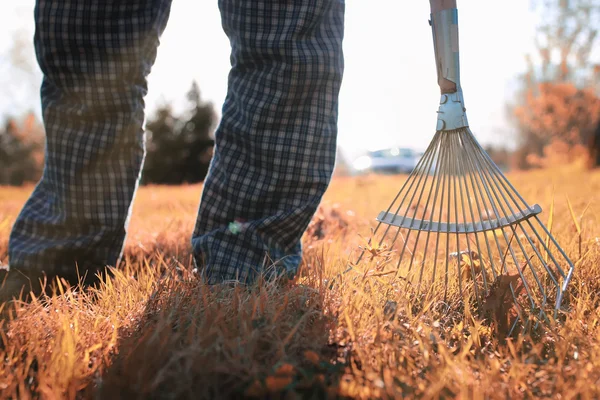 Man with rakes in autumn old grass — Stock Photo, Image