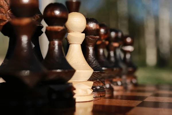 Chess on board one — Stock Photo, Image