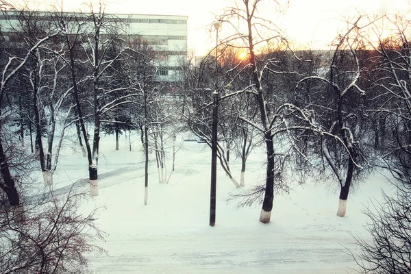 Landscape path winter — Stock Photo, Image