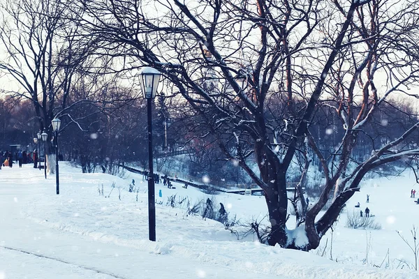 Zimní světlo ulice a strom — Stock fotografie