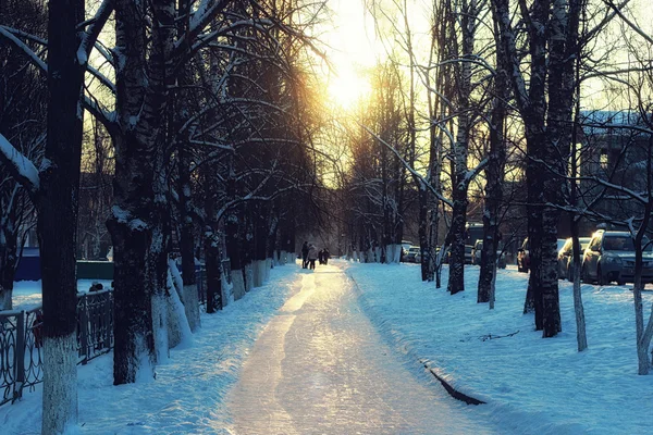 Alley bomen loopbrug winter — Stockfoto