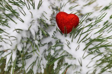 Kalpler kırmızı kış iki kar