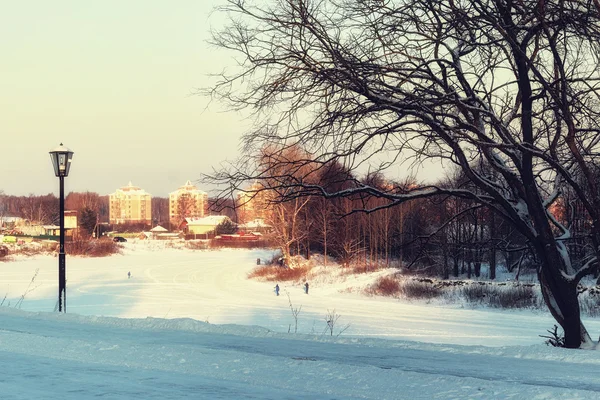 Landschap pad winter — Stockfoto