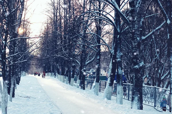 Sentiero degli alberi inverno — Foto Stock