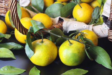 Mandarin meyvesi siyahı izole et