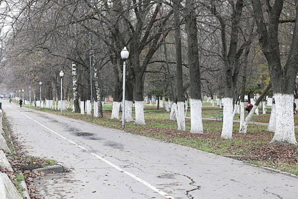 Perspektivischer Bürgersteig im Park — Stockfoto