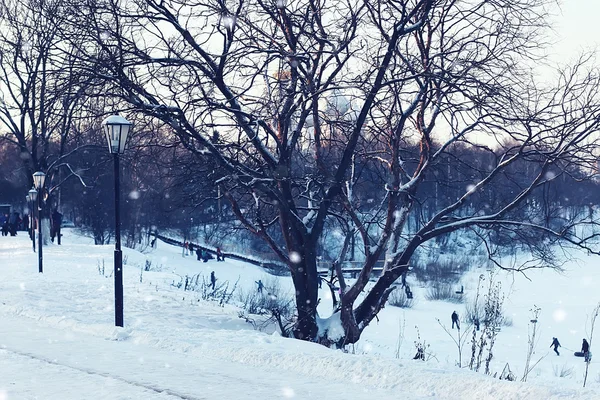 Lumière d'hiver rue et arbre — Photo