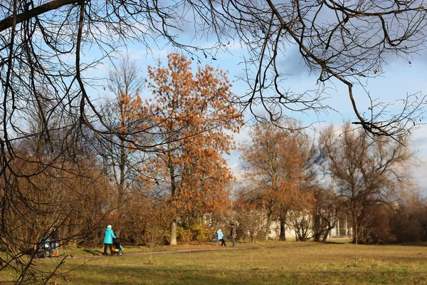 Herfst park bomen kaal — Stockfoto