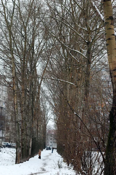 Schnee Bäume Hof Haus Abend — Stockfoto